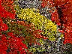 和賀(小早川)神社の紅葉と我が家の屋上からの秋景色！