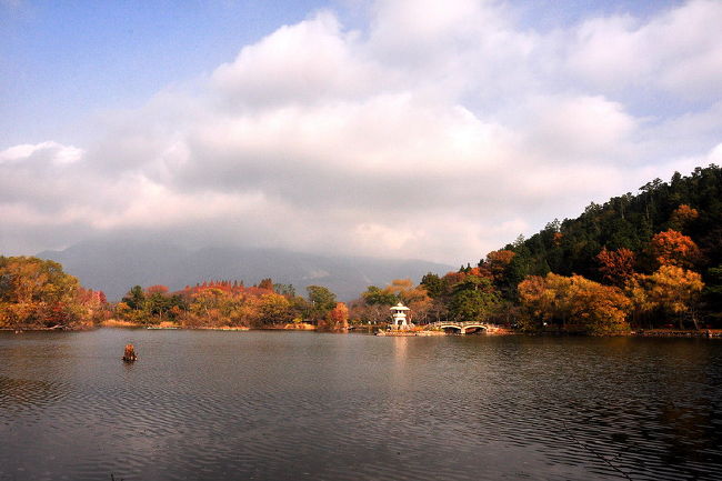 この日、三番目の紅葉の三島池<br />伊吹山は、雲ですっぽり被って残念ながら見えず・<br />今まで何年か来て初めて<br />今までがラッキー何でしょう。<br /><br />2011　逆さ三島池からの伊吹山<br />http://4travel.jp/traveler/isazi/album/10483674/<br />2011　真冬の伊吹山と三島池<br />http://4travel.jp/traveler/isazi/album/10547825/<br />2010　三島池＆伊吹山<br />&#8232;http://4travel.jp/traveler/isazi/album/10432958/<br />2009　三島池＆伊吹山<br />http://4travel.jp/traveler/isazi/album/10309199/<br />2008　三島池＆伊吹山<br />http://4travel.jp/traveler/isazi/album/10209897/