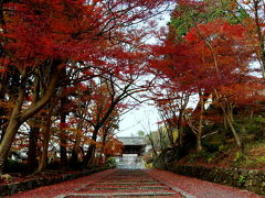 2011 京都紅葉だより 10「そうだ京都に行こう」毘沙門堂　勅使坂の紅葉～