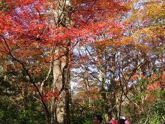 強羅温泉から千条の滝・鷹巣山を経て畑宿へ　　　夕食と翌日編です！！