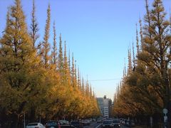 東京都心の秋発見☆　神宮外苑・紅葉の「いちょう並木」