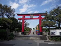 武蔵亀戸　讒言で失脚左遷された菅原道真を祀る太宰府天満宮の神官が天神信仰を篤く崇敬している４代将軍家綱の寄進を得て建立した『亀戸天神社』散歩