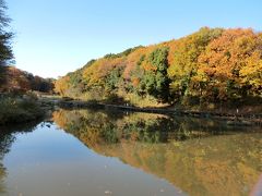 神奈川県立四季の森公園　晩秋（初冬？）の紅葉