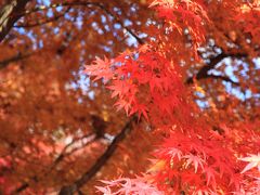 けいはんな記念公園