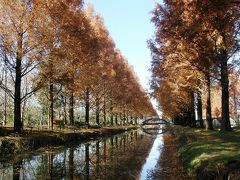 加須はなさき公園の紅葉