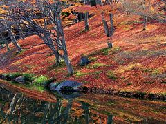 京都の御所と離宮(8)　晩秋の仙洞御所で極上の紅葉を