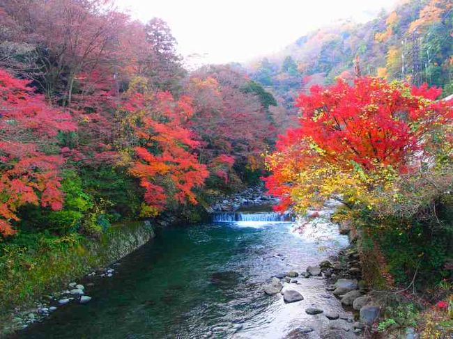 奥さんの休みが急遽取れたので近場の温泉を探して出かけました、近場と言えばやはり箱根でしょう、以前ほぼ同じ時期に泊まったことがある塔ノ沢温泉の『山の茶屋』がリニューアルしたそうで再訪してみることにしました。<br /><br />いつものように私が先に出かけて後から来る奥さんと宿で合流することにして一人出かけました、でも連日の酒で体が重い！