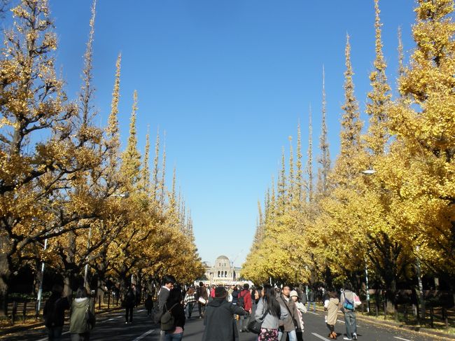 神宮外苑の銀杏並木がきれいに色づいたので、季節をしっかり感じてきました！！