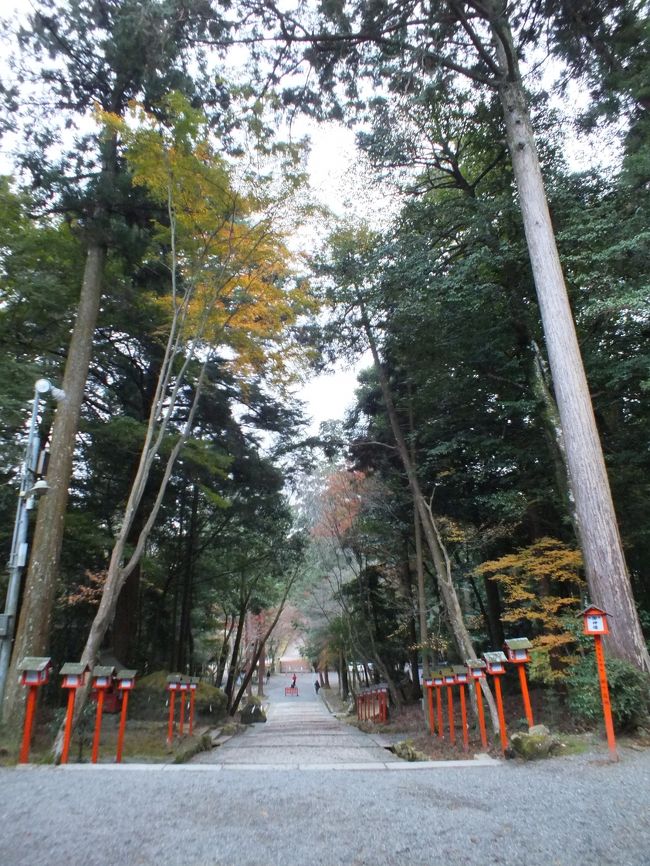 三井寺から日吉大社へは30分はかからない距離だったかなー。こちらはここに停めていいのかという門だかの前に駐車。観光駐車場と看板があるのでそこでいいんでしょー。<br /><br />日吉大社では大河ドラマの『平清盛』の撮影が行われていたとのこと。最近、大河ドラマには興味がないので「で、平清盛は誰？」と旅友ちゃんに聞いてみた。松山ケンイチくんなんですねー。<br /><br />こちらでは、雨がパラパラと降ってきました。でもすぐ止みましたが。<br /><br /><br /><br />