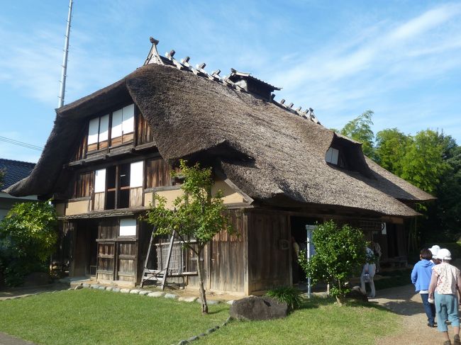 鶴が岡城は徳川四天王の一人と謳われた酒井忠次を祖とする庄内藩が、1622年信州松代から移封された3代目の忠勝が城主となる。致道館博物館は酒井氏の子孫が郷土の文化向上の為寄付した、旧庄内藩の藩校致道館資料と土地建物を基礎として発足。致道館博物館の建つ場所に鶴が岡城の三の丸があった。赤門、旧藩主御隠殿、田麦俣の民家、酒井氏庭園の他、致道館博物館のシンボル的建築、洋風の物旧鶴岡警察署や旧西田川群区役所などが有る。
