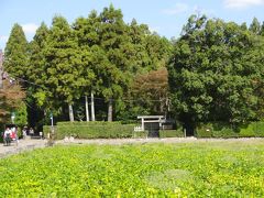 秋の京都　嵐山・祇王寺をほんのちょっと。。。