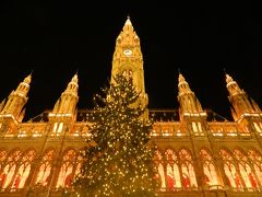 ウィーンのクリスマスマーケット　2011（ウィーン市庁舎前広場）