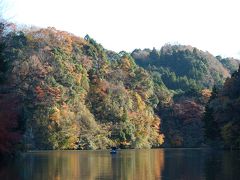 千葉ドライブ　亀山湖最後の紅葉　（動画追加）