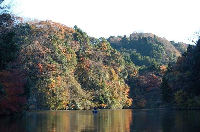 関東地方のもっとも紅葉が遅いとされている千葉の紅葉を見にいった。<br />例年は、養老渓谷に行っているが今年は亀山湖を訪れた。<br /><br />今年の紅葉は、全国的に天候不順であまり美しくなく、また1週間くらい遅れているといわれている。<br />果たして、亀山湖も例年と比べると色鮮やかとは言えず、またさすがに行った時期も遅く大満足とは行かなかったが、それなりに紅葉は楽しめた。<br />初めて乗った紅葉狩り遊覧クルーズは期待以上の楽しいものだった。<br /><br />動画を追加しました。(2015年12月）