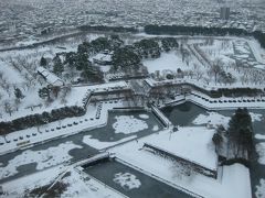 ●雪の函館　大食い日帰りの旅2011●