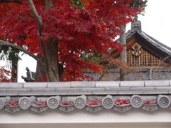 京都紅葉狩り　　嵯峨天龍寺塔頭　弘源寺・宝厳院へ