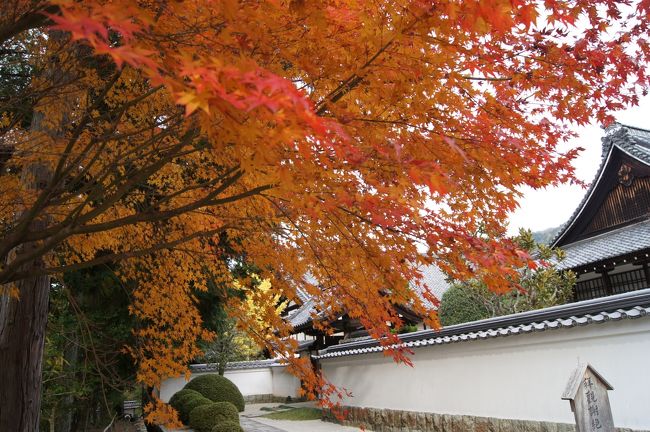 2日目は、南禅寺～平安神宮を廻りました。<br />南禅寺は、紅葉が見えないぐらい人人人でした。<br />2日間とも、天気も良く絶好のタイミングで紅葉を満喫できました。