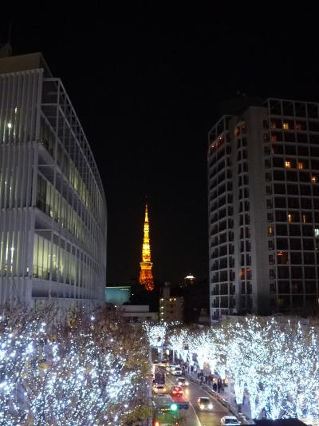 12月9日、六本木へ用事のため、ちょこっと行きました。<br />六本木ヒルズのクリスマスイルミネーション。<br />煌めく美しさに感動。<br />東京タワーのコラボも美しい。<br />ゆったりとある行き、夜景を楽しむ♪