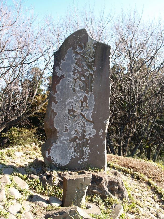 六国見山森林公園は円覚寺の北隣にあり、鎌倉に数少ない公園の一つである。大船高校端の高野台ロータリー手前にある公園北口と高野の住宅地を抜けたところに公園南口がある。いずれの道も下って行くと高野の切通に行き着く。しかし、北鎌倉駅から公園南口を目指したので高野の切通をパスすることになる。長い階段と手すりが付いた道を登って行くと桜の木が取り囲んでいる。「富士山は?」と見ると桜の枝の向こうに見える。古墳の墳丘のような丘の上が展望広場で展望デッキがある。そこからは富士山が綺麗に見える。しかし、展望デッキに設置されている方向案内の角度がずれていていい加減なのも鎌倉市らしい。また、六国見山森林公園は山と山道だけで展望広場に展望デッキが設けられているだけの名前ばかりの公園であり、トイレさえ設置されていない。そのために、年配者のグループもハイキングには中々来づらいようだ。展望広場山頂に3級水準点がある。その横に一本の木が立っており、それよりも真ん中には真講社(冨士講)が建てた「浅間大神」(明治28年(1895年)銘)の石碑が建っている。展望デッキと石碑がある公園内最高地点から南東約300mにある六国見山は海抜147.3mで、天園にある太平山(159.4m)に次ぐ標高がある。<br /> 六国見山から明月院側にはハイキングコースとして山道があるが、こんな短いコースでも倒木が2本も道に覆い被さっており、そのまま放置されているのが鎌倉市内のハイキングコースであることが実感できる。倒木の木の上を子供が渡って遊んでいる。子供にとっては倒木も遊び道具になってしまう。今泉台に団地ができて道が途絶えたのであろう、かえで通(今泉台3)を通って天園ハイキングコースに入った。<br /> 朝は北鎌倉・洞門山の階段から綺麗に見えた富士山も、六国見山、勝上献展望台と巡ると次第に雲間に霞んでくる。昼過ぎに着いた天園で、「富士山は見えますか?」と聞くと、「もう富士山は見えない。」と言う。私がいつもの岩の上から西の方向を見渡すと、雲に溶け込み、霞ながらも頂上の白い峰が何とか確認できる。「あそこの雲の上に見えますよ。」と指指すと周りにいた人たちも「ああ‥、あれ‥。」と目を凝らす。やはり、天園ハイキングコースは人が多い。しかし、分かり切っていることではあるが、午前中でないと、天気の良い日でもくっきりとした富士山は拝めない。<br />(表紙写真は六国見山森林公園山頂の真講社石碑)