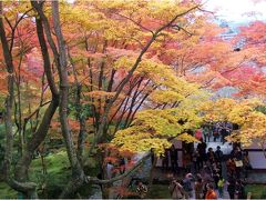 2011 京都の秋　宝厳院・常寂光寺・宝筺院