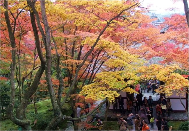 　ドイツから友人が帰国したので、京都の紅葉を案内しました。<br /><br />　ハイシーズンの土曜日とあって、大変な人出でした。　　