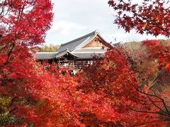 伏見から東福寺へ