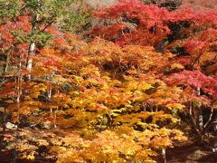 ギリギリセ−フの香嵐渓と、水源公園