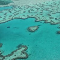 楽しんだぜ！！　２０１１　オーストラリア　『ハミルトン島・ドリームツアー♪水上飛行機で空からハートリーフを見て感動♪♪』　ＩＮ　ハミルトン島
