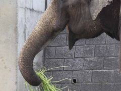休日を多摩エリア遊ぼう！　多摩動物園　うかい竹亭