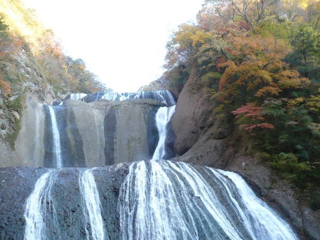 「紅葉もグルメも海産物のお買い物も・・・」<br />という、盛りだくさんのうたい文句につられて、（笑）<br />日帰りのバス・ツアーに参加しました。<br />今年の紅葉は、例年にくらべて大幅に遅れて<br />いるようで、この日取りでは少し遅すぎるかも、という<br />危惧に反して、これでもまだ、完全には紅葉しきって<br />いないくらいでした。<br />でも、滝の流れと紅葉は、よく似合います。<br />やはり、日本の秋の風情は、格別ですね♪