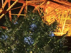東京タワー★クリスマス・イルミネーション★