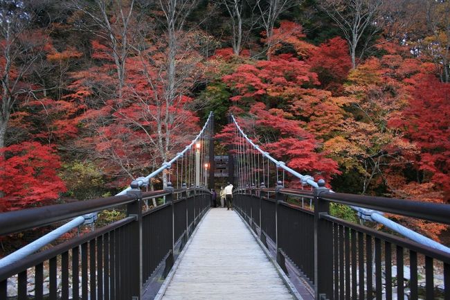 昨年知った紅葉スポット、塩原温泉郷・紅の吊り橋へ。<br /><br /><br />■昨年の状況（参考）<br />http://4travel.jp/traveler/jingo/album/10522221/