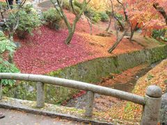 そうだ京都に紅葉見に行こう！　その2《東福寺・東寺》