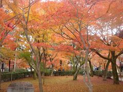 初冬の京都・奈良 