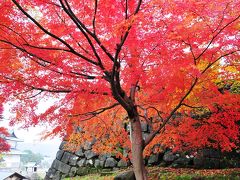 晩秋の金沢城公園