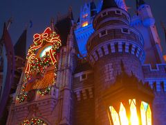 Tokyo Disneyｌand Chritmas Fantasy　2011