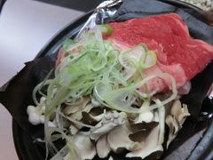 冬の下呂・八ヶ岳・御殿場・３泊４日・軽四で駆け巡りました、・第１話下呂温泉、２食付５５８０円