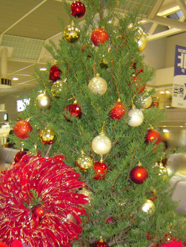 1.突然とれた12月の休暇<br />2.12月といえば「クリスマス」<br />3.クリスマスといえば「クリスマスマーケット」<br /><br />ってことで、ドイツ3泊5日の旅、決定！<br /><br />今回は準備期間も短かったので<br />個人手配より安く<br />そして効率良くまわれる弾丸ツアーに参加。<br /><br />初ツアー、しかも一人参加。団体行動苦手なのに大丈夫か？<br />まあ、何とかなるでしょ。<br />行ってきます！