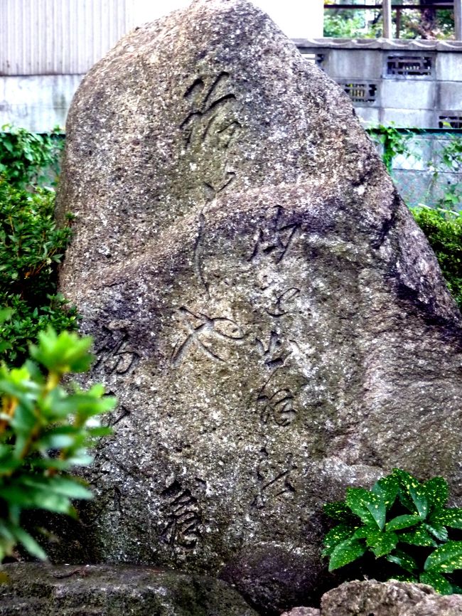鶴ヶ岡(当時名)に船で到着した芭蕉はその足で、庄内藩士で、芭蕉の俳句の弟子でもあった、長山重行宅を訪れ、3日間滞在する。致道館の東側を内川が流れ、現在内川緑地と呼ばれるところで90度右に迂回し、更に蛇行を繰り返し、新内川と合流、新内川は赤川と合流し、更に赤川が最上川に注ぎこむことになる。内川緑地を右折れし、橋を渡った所は旧内川乗船地が有った場所で、ここから芭蕉は酒田へ向けて船に乗る。旧内川乗船地から北東に道が伸びており、この一帯に長山重行宅はあった。芭蕉は長山重行宅滞在中連句を興行し、その時芭蕉が詠んだ発句が めづらしや 山をいで羽の初茄子現在長山重行宅の痕跡らし物は見当たらなかったが、空き地になっている一角の囲いの中に、上句を刻んだ碑が建っている。文字の当て方が異なるが同じ句を刻んだ碑を、長山重行宅からやや北に向かった日枝神社の境内でも見ることが出来る。 珍しや 山をい出羽の初なすひ旅行企画会社配布資料によると、日枝神社は鶴ヶ岡総鎮守三社の一つで、明治の初期迄下山王社と呼ばれていた。徳川家康の長男信康の霊を祭る復鎮霊社もあり、その脇に樹齢350年、高さ約20mのケヤキの大木が聳える。復鎮霊社の左に池が有り、小さな赤い太鼓橋が架かっている。橋を渡った弁天島には厳島神社が建っており、芭蕉の句碑はその左脇にあった。句に登場するなすは、近くの民田という村で江戸時代の初期から栽培されていた小振りの丸いなすで、庄内地方では漬物専用の"民田なす"として今でも親しまれているとのこと。しかしこのなすは、土地が変わると味が変わってしまう為、庄内地方でしか採れない珍種らしい。残念ながらこの旅行中で口にする機会は無かった。 これで鶴岡の観光を終わり、酒田に向かう。芭蕉は内川乗船地から船で酒田に向かうが、我々は雪対策の雁木造(が んぎづくり)の商店街の前の道をバスで抜けて酒田へ。