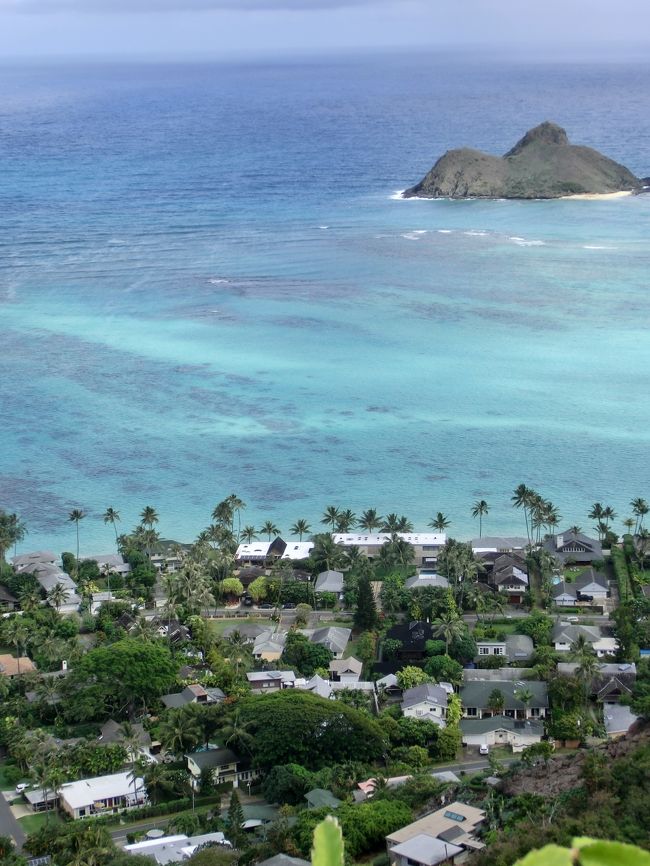 Theバスでお出かけ編 カイヴァリッジ トレイル 頑張った人だけが見れる景色 オアフ島 ハワイ の旅行記 ブログ By 豚のしっぽさん フォートラベル Theバスでお出かけ編 カイヴァリッジ トレイル 頑張った人だけが見れる景色 オアフ島 ハワイ の旅行記 ブログ By 豚のしっぽさん フォートラベル