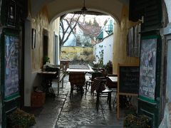 ブダペストから２０キロ　旧市街の石畳を歩きたくなったら　冬のセンテンドレへ