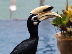 海か山かと問われれば・・やっぱり海。　パンコールラウ　ステイ （１）