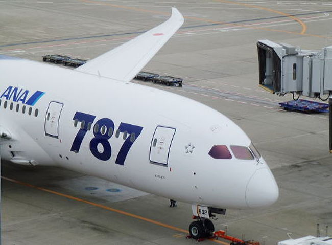 文系のアタシが何故か6年ほど前の開発段階から興味を持ったのがB787でした。<br /><br />しかし開発は遅れに遅れ、2007年7月の1号機のロールアウト(新型機の初公開)も外観だけで中身のないドンガラ状態でのご披露(ーー;)<br /><br />何時になったら勇姿が見られるのかと首を長くして待っていましたが、ようやく今年9月にローンチカスタマー(航空機メーカーに新型機を大量発注し、新型航空機製造計画立ち上げの後押しをする顧客)の全日空に1号機が引き渡されました。<br /><br />この日を待っていた航空機オタクのアタシとしちゃ、中部路線に導入されるのなんて待っちゃいられません。<br /><br />今、乗りたいんですッ！！<br /><br />何故なら〜期間限定の特別塗装の機体と、国際線仕様のプレミアムクラスシート！！<br /><br />この機体に乗りたいが為だけに大枚叩いて名古屋から東京に移動し、羽田から用もないのに広島まで飛びました(笑)<br /><br />しかし・・写真に失敗(ーー;)<br /><br />今は搭乗後の撮影が緩和されて扉が閉まるまでは撮影可能だそうですが、念の為にと持ち込んだ「写るんです」の写真が悉く失敗したため、座席の画像がありません(泣)<br /><br />おっちょこちょいの飛行機オタクの搭乗記ですが、しばらくお付き合い下さい。<br /><br />