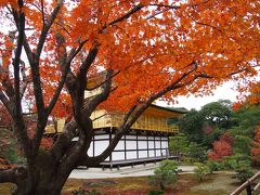 おばあちゃんと京都旅行☆