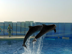 えのすい(新江ノ島水族館)