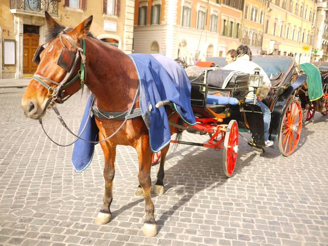 大学院卒業旅行でスペイン～イタリア～フランスを旅行してきました！<br />今更ですが、記録として残しておこうと。。