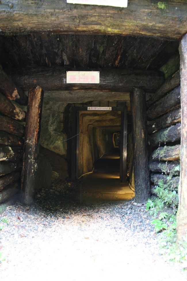 世界遺産『石見銀山』<br />正式には『石見銀山遺跡とその文化的景観』と広い範囲を指します<br /><br />訪れた友人からは『あまり面白くなかった』と聞いていたので<br />それほど期待してなかったのですが、行ってみると、なかなか興味深い♪<br /><br />ちょっとした歴史の予備知識があれば面白い散策ができますよ<br /><br />今回はその中でも代表的な『銀鉱山跡と鉱山町』を散策してきました