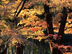 山崎聖天