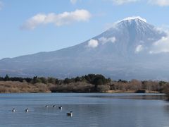 クリスマスプレゼントに富士山　その２