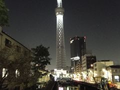 まだ寂しいスカイツリーの夜景